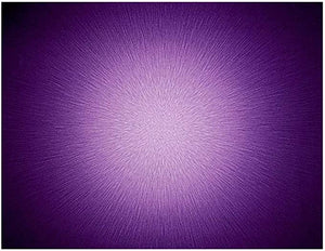 Panel Hoffman supernova purple