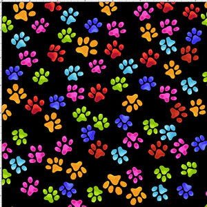Loralie black with colorful paw