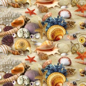 ES sea shells