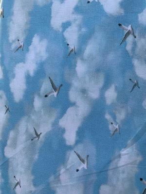 P&B blue sky and sea gulls