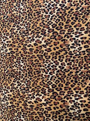 TT leopard dots
