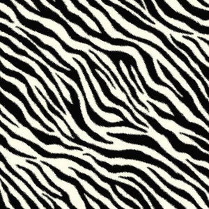 Windham zebra stripes